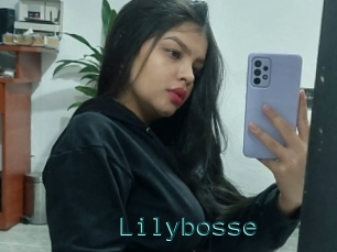 Lilybosse