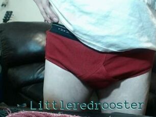 Littleredrooster