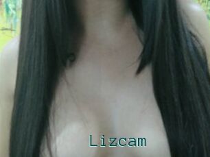 Lizcam