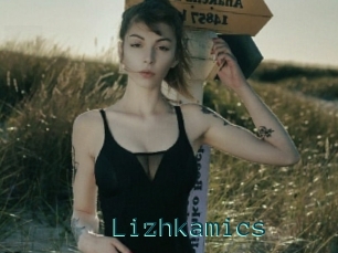 Lizhkamics