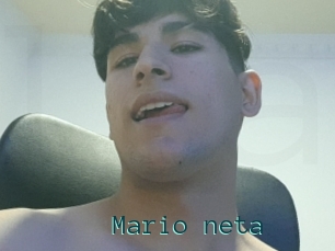 Mario_neta