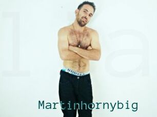 Martinhornybig