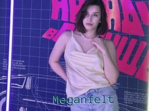 Meganfelt