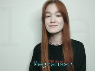 Meghanasp