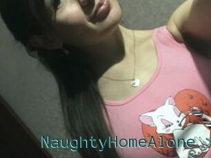 NaughtyHomeAlone