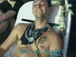 Nectar_Rabbit
