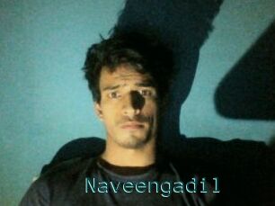 Naveengadil