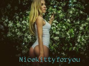 Nicekittyforyou