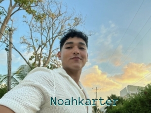 Noahkarter