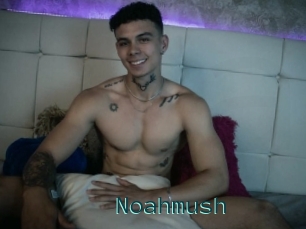 Noahmush