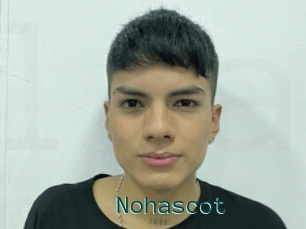 Nohascot