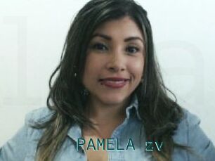 PAMELA_zv