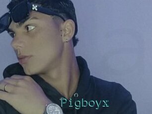 Pigboyx