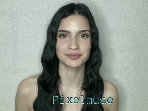 Pixelmuse