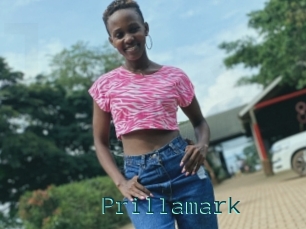 Prillamark