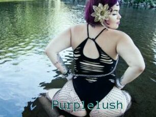 Purplelush