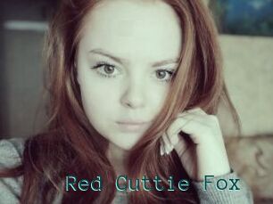 Red_Cuttie_Fox