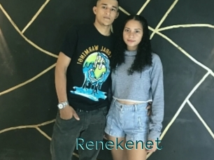 Renekenet