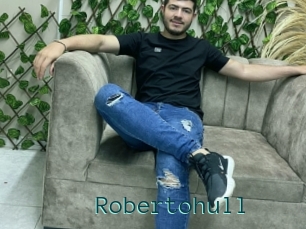 Robertohull