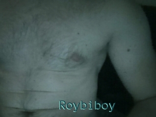 Roybiboy