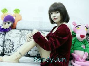 SandyJun