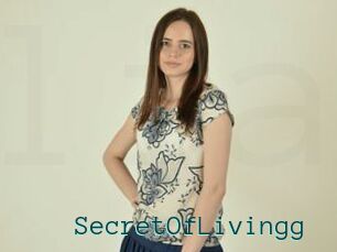 SecretOfLivingg