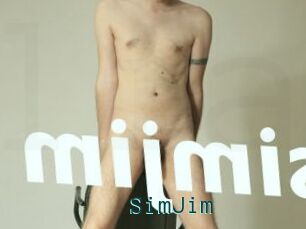 SimJim