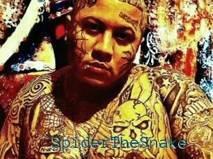 SpiderTheSnake