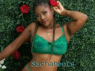 Sachahents