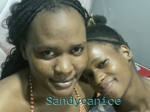 Sandycanice