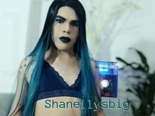 Shaneilysbig