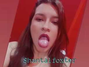 Shantalfoxter