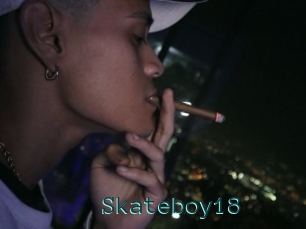 Skateboy18