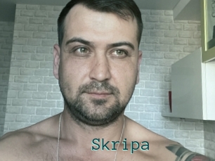 Skripa