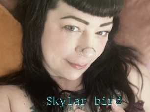 Skylar_bird