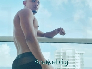 Snakebig