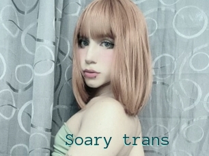 Soary_trans