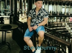 Stevebunny