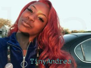TinyAndrea