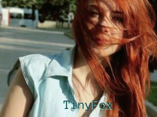 TinyFox