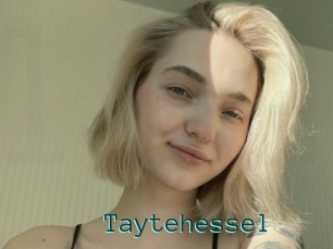 Taytehessel