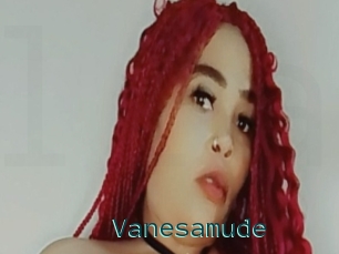 Vanesamude