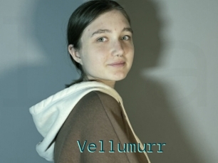 Vellumurr