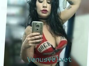 Venusvelvet