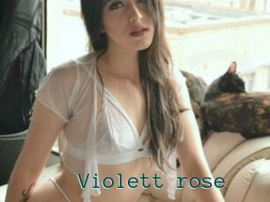 Violett_rose