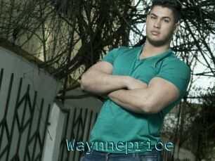 Waynneprice