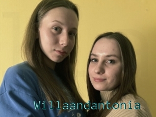 Willaandantonia