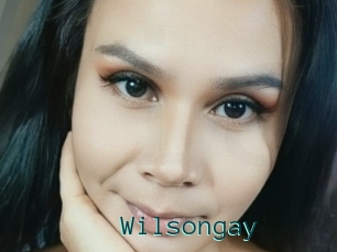 Wilsongay