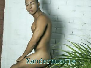 Xandermuscle