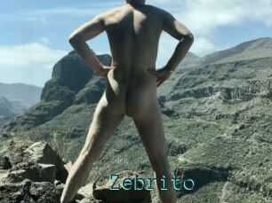 Zebrito